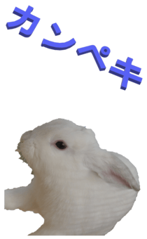 848966936