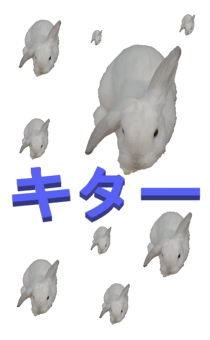 848966938
