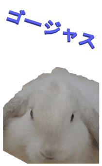 848966940