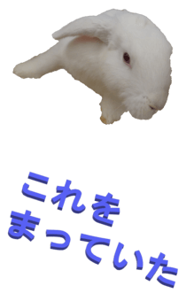 848966943