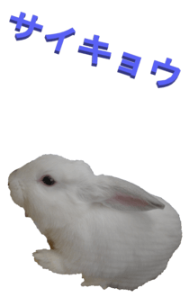 848966944