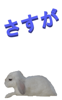 848966946