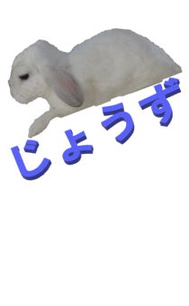 848966950
