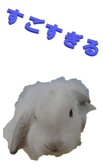 848966951