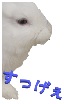 848966952