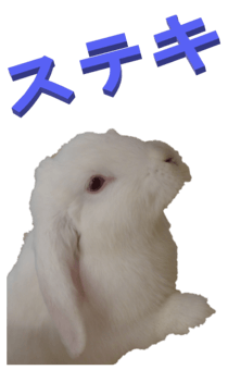848966953