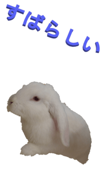848966954