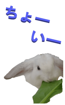 848966959