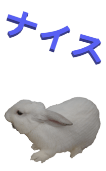 848966962