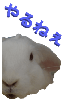 848966966