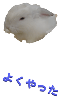 848966968