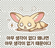 848976655