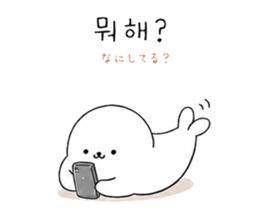 848985084
