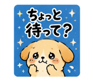 848995034