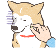 849032199