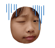 849056772