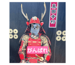 849062745