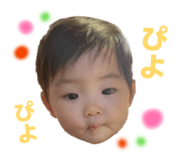 849063565