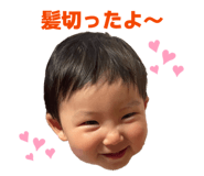 849063568