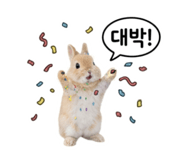 849090327