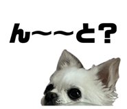 849115370