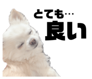 849115374