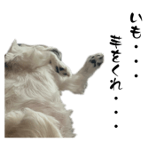849115387