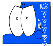 849116556
