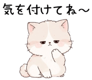 849118492