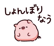 849133955