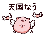 849133979