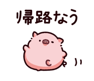 849133984