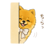 849140437