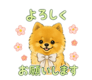 849140443