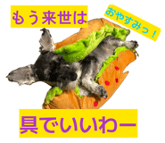 849140512