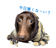849142347