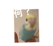 849143115