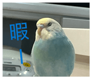 849143118