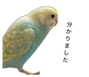849143119