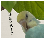 849143120
