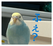 849143123