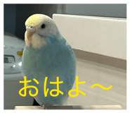 849143124