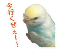 849143127