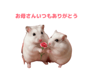 849143224