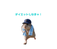 849143228