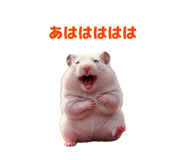 849143231