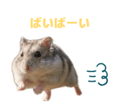 849143232
