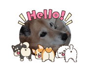 849143389