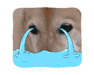 849143390