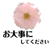 849149002